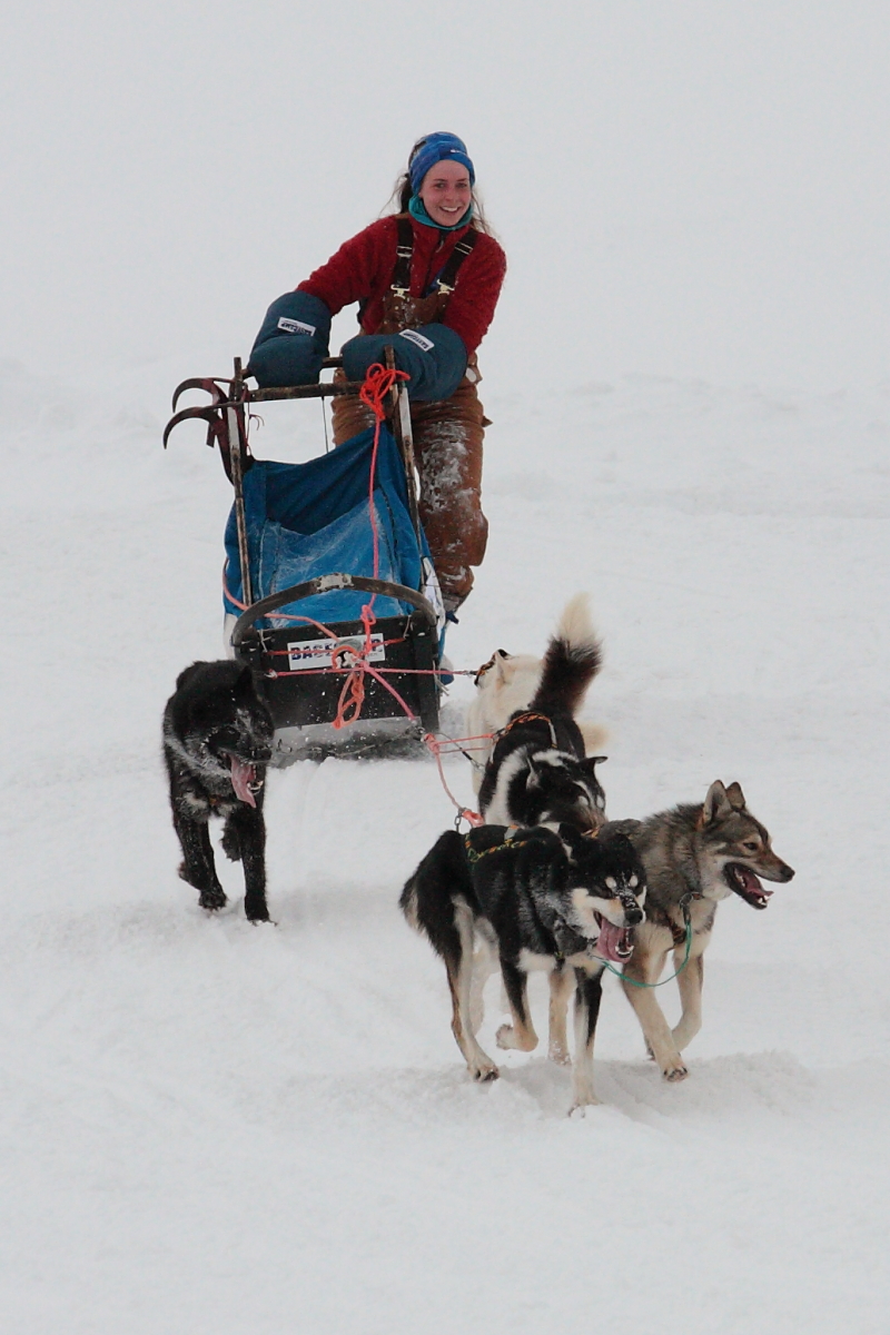 Arktis, Arctic, Svalbard, Spitzbergen, Longyearbyen, sled dog race, Schlittenhund, Hans-Joachim Eggert