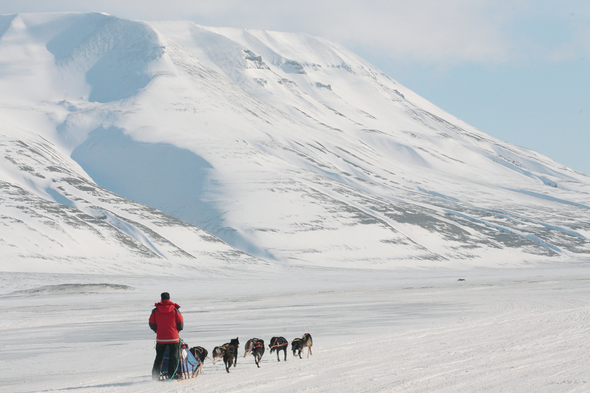 Arctic Arktis Svalbard Spitzbergen Longyearbyen Trappers Trail Sled dog race Adventdalen Adventtal Valley Tal Mountain Berg Eis Snow Schnee