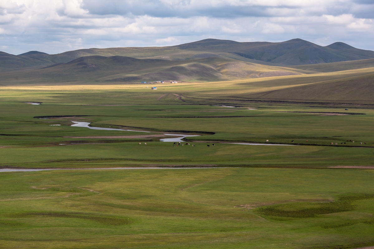 Die Hulun Buir Grasslands sind geprägt von weiten Wiesen, Flüssen und großer Pflanzenvielfalt. Zwischen den Flussläufen grasen freilaufende Kühe, und am Ende der großen Ebene stehen nur wenige Häuser, die dünn besiedelt ist. Die Hulun Buir Grasslands liegen im äußersten Nordosten der Inneren Mongolei, in der Umgebung von Ergun. Hulun Buir Grasslands - Innere Mongolei - China