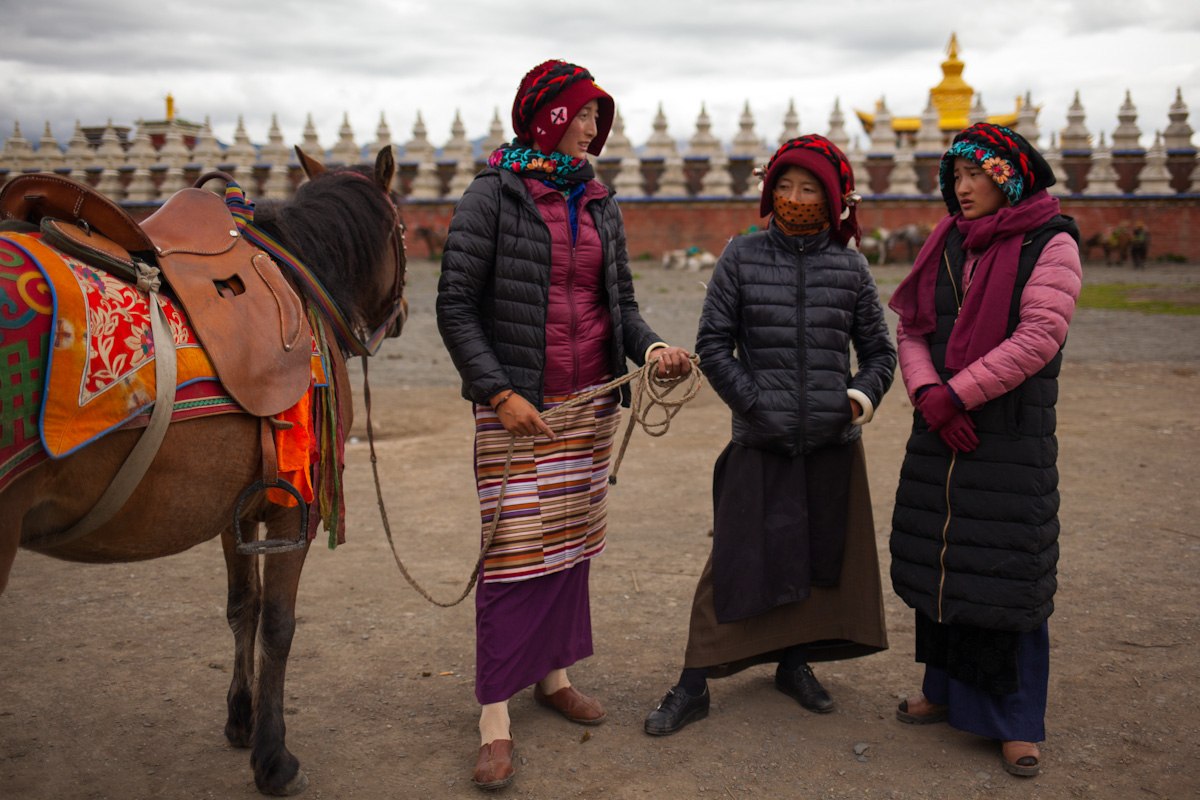 Tibetian women with horses in Tagong Autonome Präfektur Garzê Tibet Sichuan China 木雅金塔