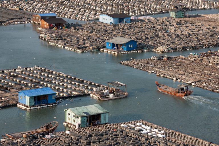 Luoyuan Bay Xiapu Mudflats Fujian China Fischfarm Fischzucht