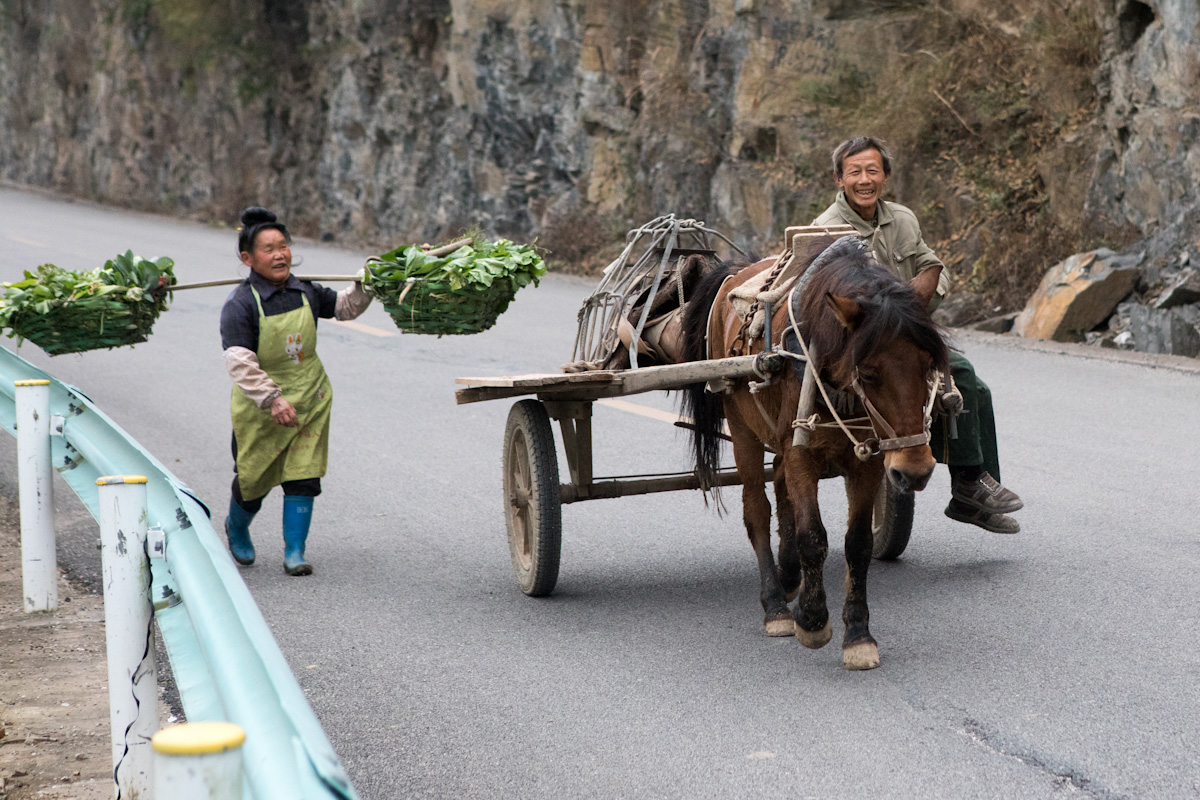 Eine Frau trägt in zwei großen Körben ihre Ernte nach Hause, während sie ein Mann auf einer Pferdekutsche auf einer Landstraße überholt. Shiqiiao liegt im Süden der Provinz Guizhou, die sehr landwirtschaftlich geprägt ist. Shiqiao - Guizhou - China