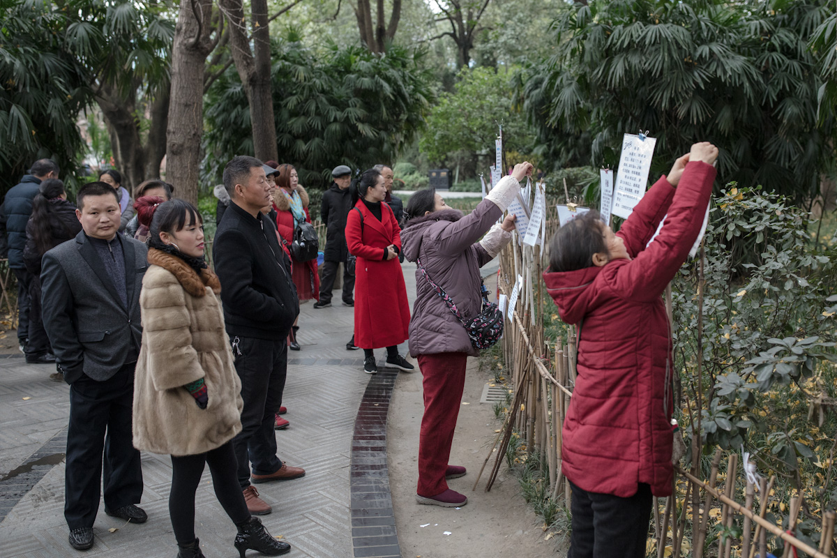 Auf dem Heiratsmarkt im Peoples Park in Chengdu. Die Frauen hängen Plakate mit den Daten möglicher Partner auf. Darauf befinden sich neben Alter, Größe und Einkommen, auch Ausbildung und Heimatort oder Immobilienbesitz. Chengdu - Sichuan - China
