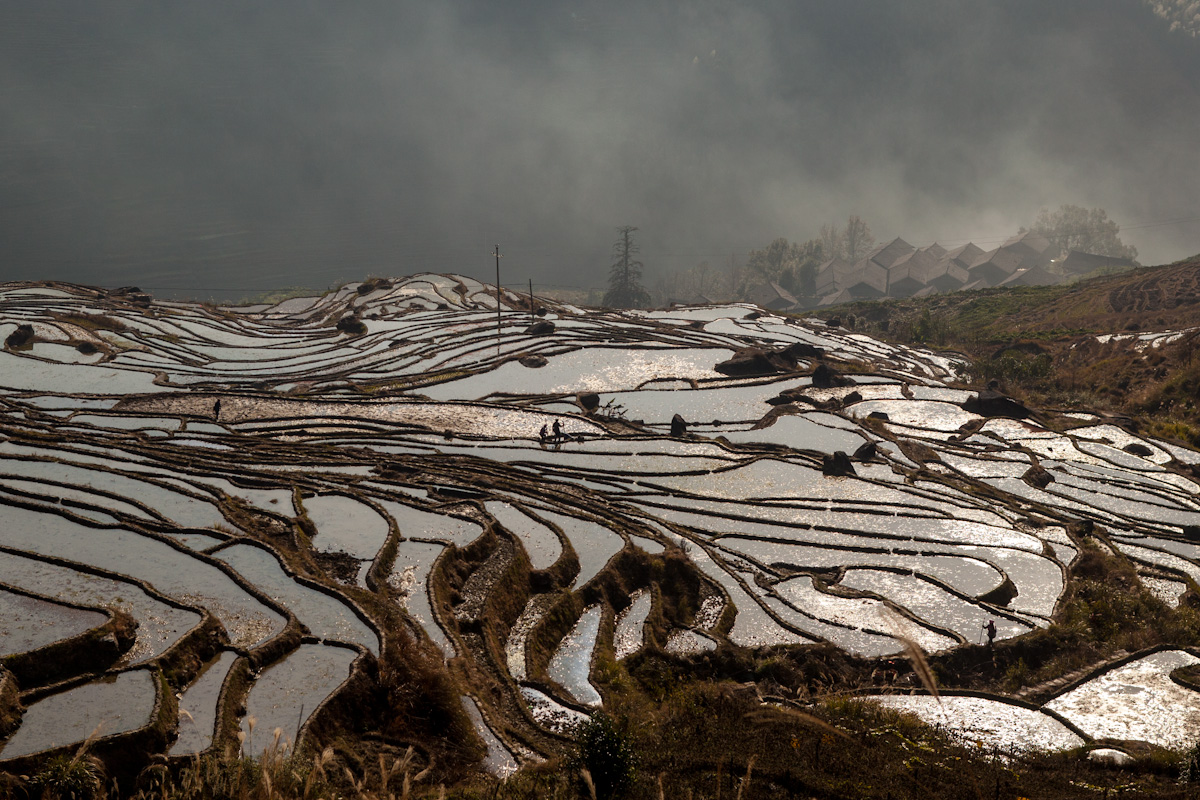 Reisterassen in der Umgebung vom Dorf Ping'an. Guangxi - China