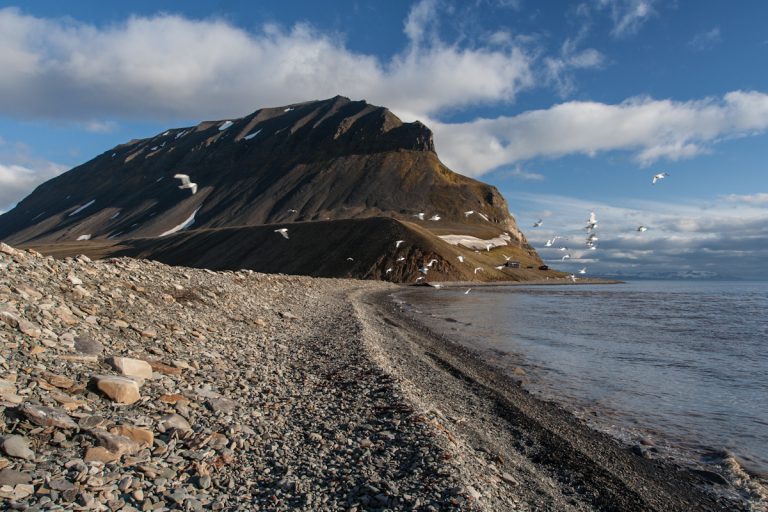 arktis arctic spitzbergen svalbard björndalen icefjord eisfjord winter snow schnee