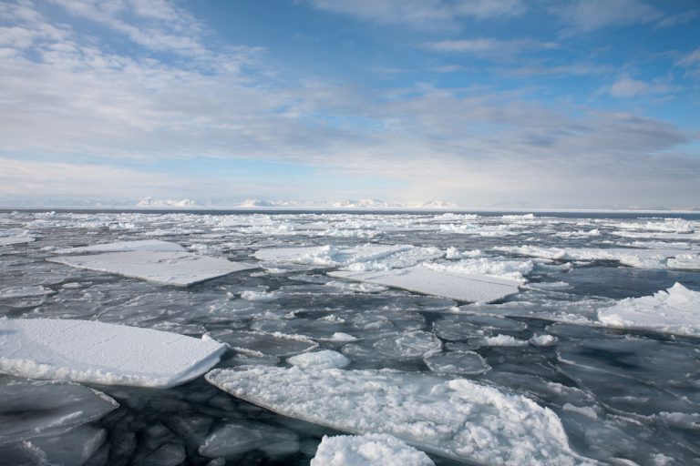 arktis arctic spitzbergen icefjord winter schnee snow ice eis